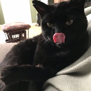 Meet your Posher, Laura